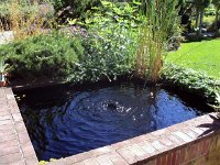 photos 2000-200902732